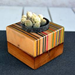 Recycled Skateboard & Oak Cactus Planter - Unique Desk Art - 80x80mm - thumbnail 2