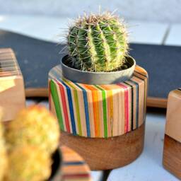 Recycled Skateboard & Oak Cactus Planter - Unique Desk Art - 80x80mm - thumbnail 4
