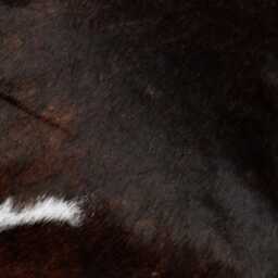 Brown & Black Cowhide Cushion Cover, Genuine Hair-On Leather Pillowcase, Rustic Western Decor - thumbnail 3
