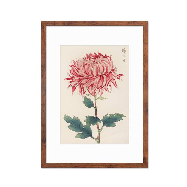Framed Mounted Japanese Ukiyo-E Wall Art Print Poster Woodblock Keika Hasegawa Chrysanthemums Flowers Landscape Nature Beautiful Calligraphy - image 1