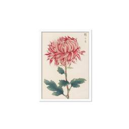 Framed Mounted Japanese Ukiyo-E Wall Art Print Poster Woodblock Keika Hasegawa Chrysanthemums Flowers Landscape Nature Beautiful Calligraphy - thumbnail 3