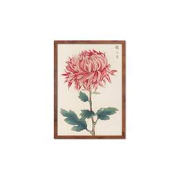 Framed Mounted Japanese Ukiyo-E Wall Art Print Poster Woodblock Keika Hasegawa Chrysanthemums Flowers Landscape Nature Beautiful Calligraphy - thumbnail 2