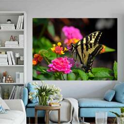 Butterfly Wall Art - Yellow Butterfly Prints Baby Room Decor Girls Wall - thumbnail 4