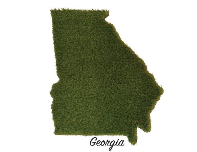 Louisiana Synthetic Grass Doormat - Rug Wall Decor - image 1