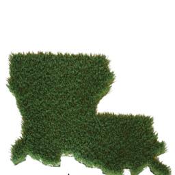 Louisiana Synthetic Grass Doormat - Rug Wall Decor - thumbnail 2