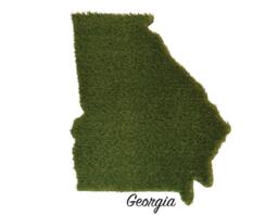 Louisiana Synthetic Grass Doormat - Rug Wall Decor