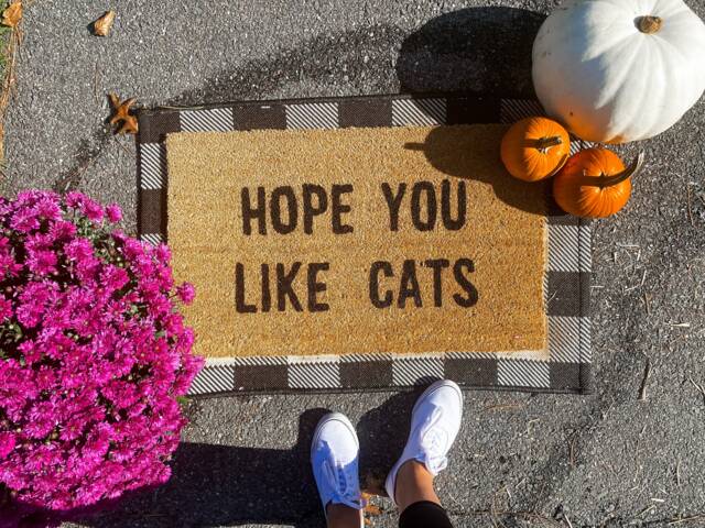 Hope You Like Cats Doormat, Cat Gift, Lover, Home Decor, Custom Welcome Mat, Funny Front Door Mat - image 1