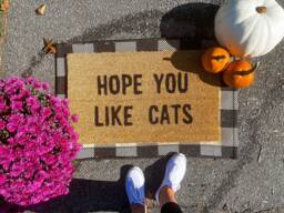 Hope You Like Cats Doormat, Cat Gift, Lover, Home Decor, Custom Welcome Mat, Funny Front Door Mat - thumbnail 1