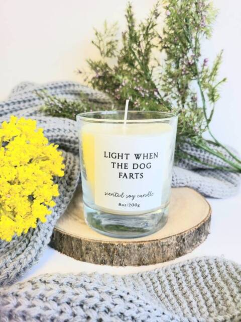 Light When Dog Farts Funny Candle Gift Soy Wax Vegan Owner - image 1