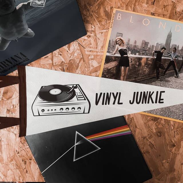 Vinyl Junkie Pennant Flag/Felt Pennant Vinyl Records Record Collector Crate Digger Music Lover Lyrics Wall Hanging Decor