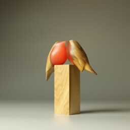 Love Robins - 67A - thumbnail 4