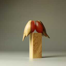 Love Robins - 67A - thumbnail 3