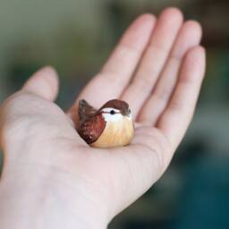 Carolina Wren Miniature - thumbnail 4