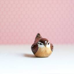 Carolina Wren Miniature - thumbnail 3
