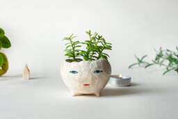 Ceramic Planter, Succulent Plant Pot, Cactus Clay Cache Flower Modern Mini Plant Pot