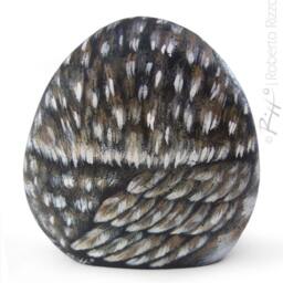 Hand-Painted Owl Rock, Little Art, Roberto Rizzo - thumbnail 3