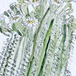 Arizona State Flower Map Watercolor Saguaro Cactus Blossom - Art Print Wall Asu Graduation Wedding Realtor Moving Gift Southwest - thumbnail 2