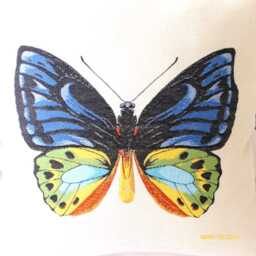 Blue Butterfly Tapestry Pillow Cover Extra-Large Floor Cushion - thumbnail 3