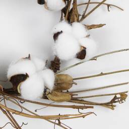Small Dried Cotton Twig Wreath Farmhouse 30cm // Rustic Boho Christmas - thumbnail 2