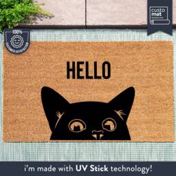 Cat Door Mat - Hello Lover Pet Gift Ideas Doormat For Lovers Fur Baby Custom Coir Welcome Porch Decor - thumbnail 1
