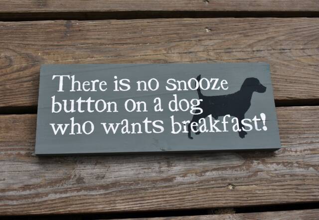 Funny Dog Sign - Reclaimed Wood, Breakfast Humor Wall Art - image 1
