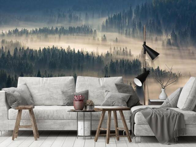 Misty Morning Forest Wall Mural, Into The Woods Wallpaper, Mountain Haze Mural, D??cor, Decal, Room D??cor - image 1