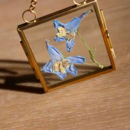 Pressed Flower Glass Frame Real Dried Floral Wall Hanging - thumbnail 2