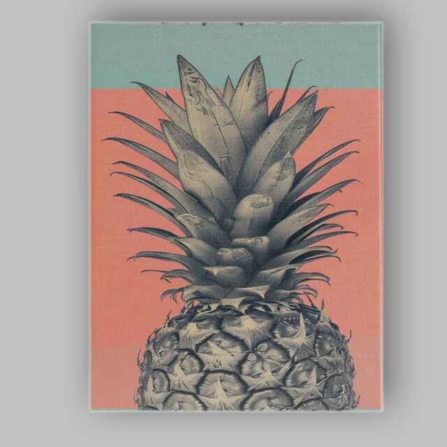 Retro Monochrome Pineapple Pop Art Tropical Canvas Wall Print Decor Picture Ready To Hang - image 1