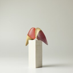 Duo Love Birds - 23 - thumbnail 4