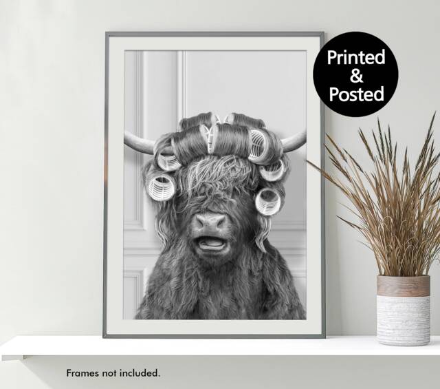 Black & White Highland Cow in Hair Curlers Print, Bathing, Funny Bathroom Animal Toilet Art, Rollers, Bath - image 1