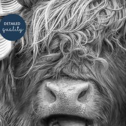 Black & White Highland Cow in Hair Curlers Print, Bathing, Funny Bathroom Animal Toilet Art, Rollers, Bath - thumbnail 2