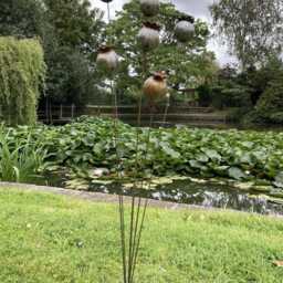 Rusty Metal Garden Poppy Flower Spray Plant Stake Ornament Support Decoration - thumbnail 3