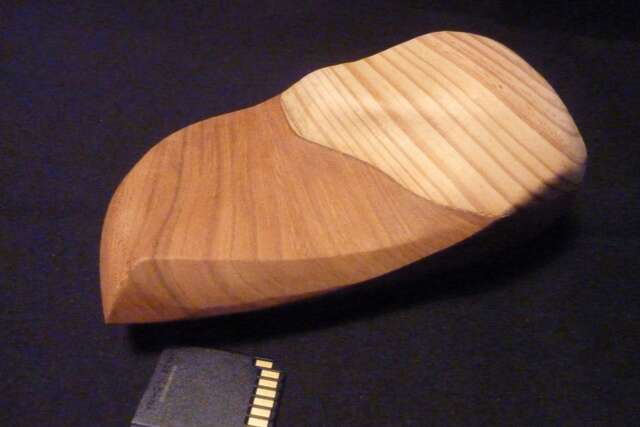 Dune Wood Sculpture - image 1