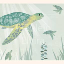 Poster Turtles, Poster A4, Illustrations, Animal Posters, Birthday, Children's Birthday - thumbnail 2