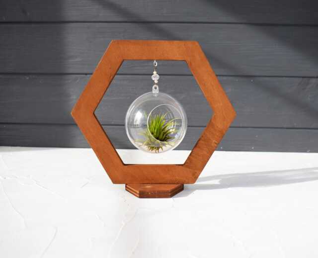 Wood Air Plant Holder Ventilated Globe, Dark Walnut Finish - image 1
