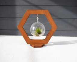 Wood Air Plant Holder Ventilated Globe, Dark Walnut Finish - thumbnail 1