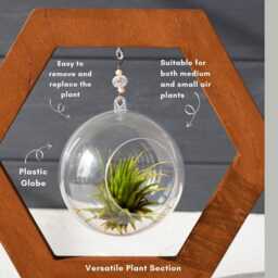 Wood Air Plant Holder Ventilated Globe, Dark Walnut Finish - thumbnail 3