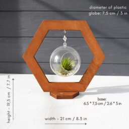 Wood Air Plant Holder Ventilated Globe, Dark Walnut Finish - thumbnail 2