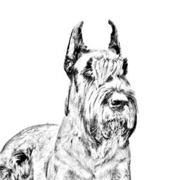Schnauzer - Wooden Stand For Candles/Pens With The Image Of A Dog New Collection - thumbnail 2