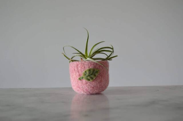 Air Plant Planter - Pale Pink Felted Bowl With Sage Green Leaf Ring Catch All Pot Gifts For Gardeners - image 1