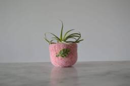 Air Plant Planter - Pale Pink Felted Bowl With Sage Green Leaf Ring Catch All Pot Gifts For Gardeners