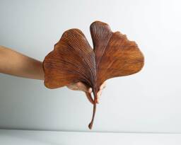 Wooden Ginkgo Leaf Wall Figurine, Wood Carving, Ginkgophyta Art, Hanging Ornament, Handmade, Room Decor, Special Gift - thumbnail 1