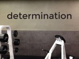 Determination Quote Wall Decal. Wellness Decor, Healthy Living Decor - thumbnail 1