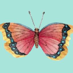 Physical Red Butterfly Art Print Home Decor Digital Download Watercolor Nursery Office Feminine Girls Bedroom Yellow Butterfly Art - thumbnail 2