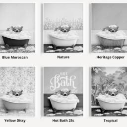 Black & White Bear Looking Forward in A Bath Print, Bathing, Funny Bathroom Animal Bathtub, Tub Print, Whimsy - thumbnail 3