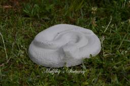 Solid Concrete Rattle Snake Statue - thumbnail 1