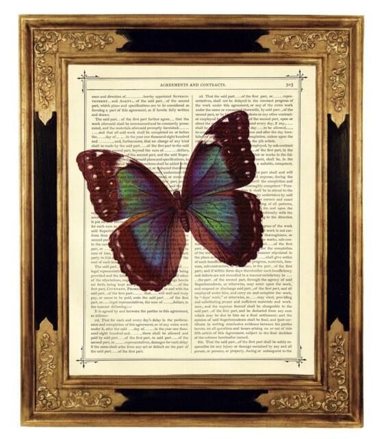 Butterfly Morpho Dictionary Ar Print Insect Poster Dark Academia - Vintage Victorian Book Page Steampunk - image 1