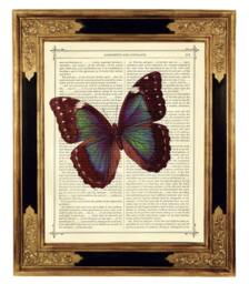 Butterfly Morpho Dictionary Ar Print Insect Poster Dark Academia - Vintage Victorian Book Page Steampunk - thumbnail 1
