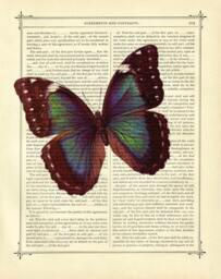 Butterfly Morpho Dictionary Ar Print Insect Poster Dark Academia - Vintage Victorian Book Page Steampunk - thumbnail 2