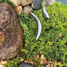 Stainless Steel Fish Sculpture For Garden Landscape Welded Metal Lawn Art Outdoor Decor - thumbnail 2